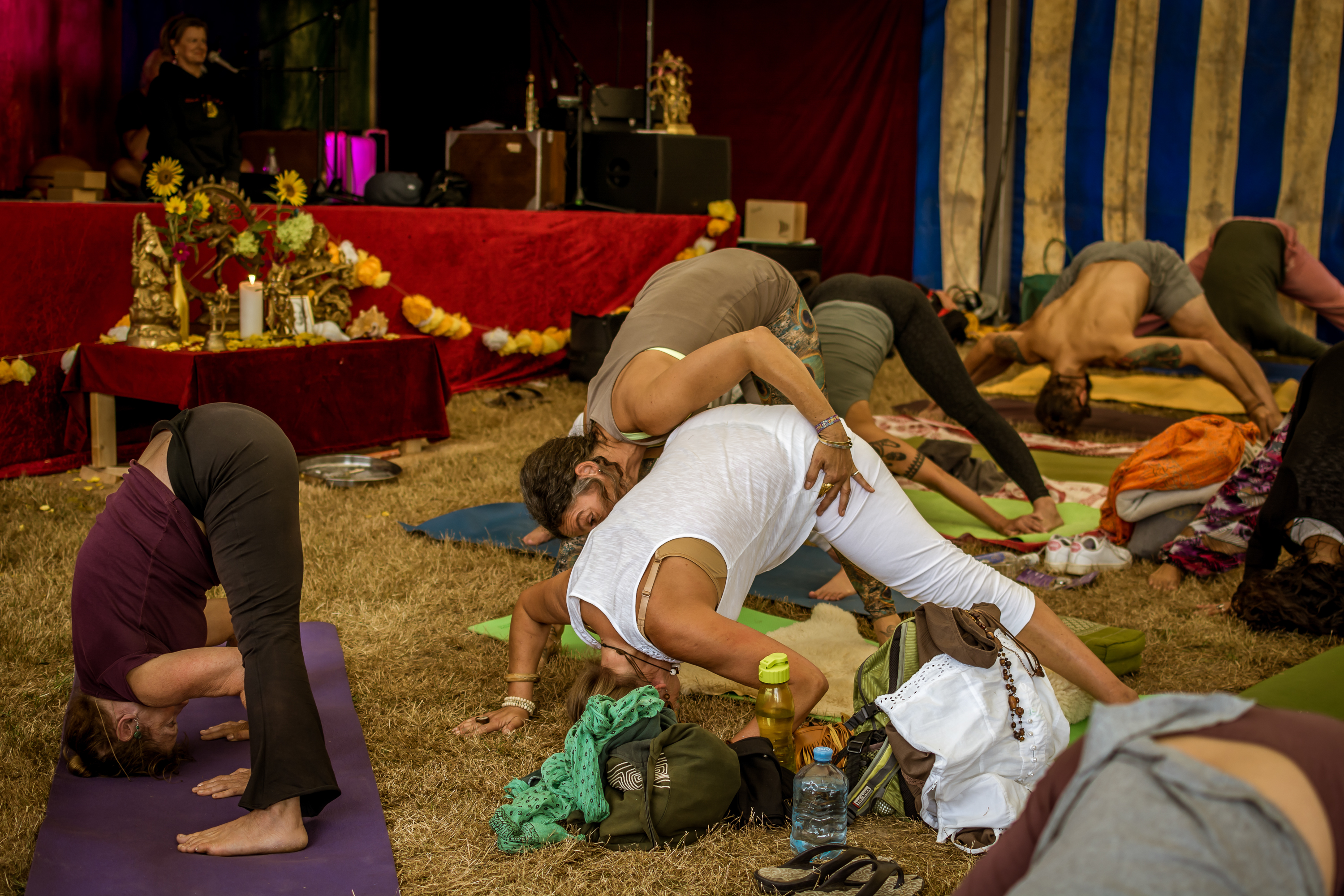 Ananda-Spirit-264