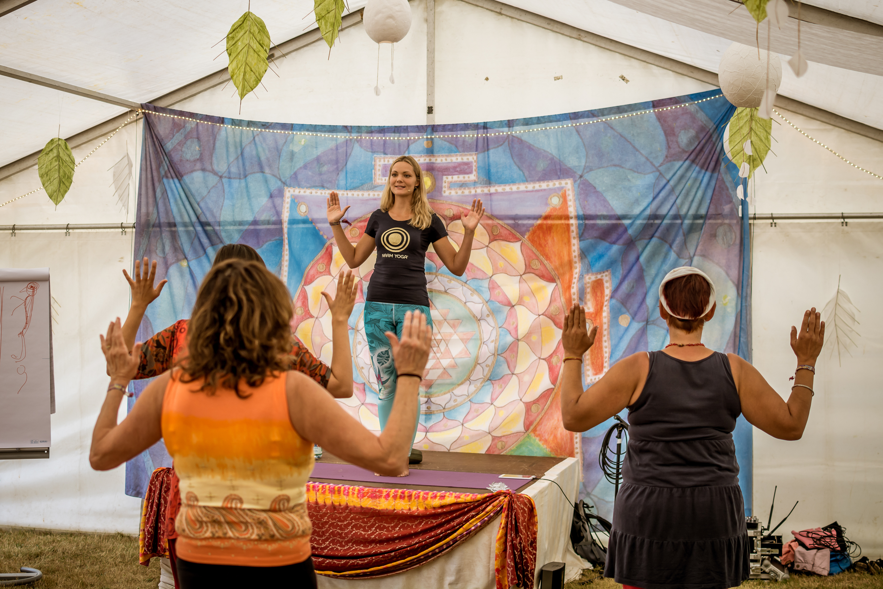 Ananda-Spirit-274