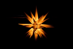 Ananda-Spirit-358