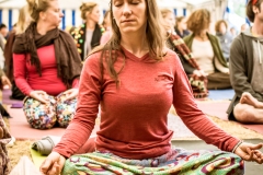 Ananda-Spirit-463